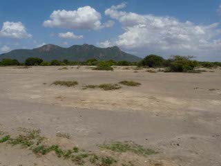 Pangani River - Floodplain