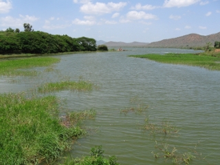 Pangani River - Kalimawe Reservoir