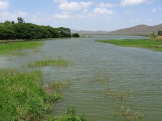 Pangani River - Kalimawe Reservoir