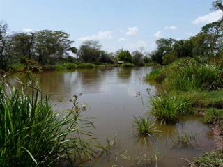 The Pangani River