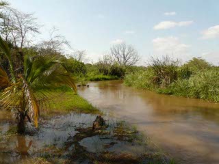 The Pangani River